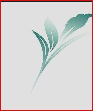 Practice logo